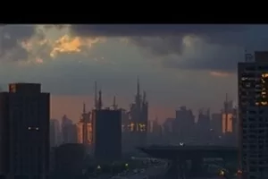 凌晨四点的面包房中出炉面包排列在木架上